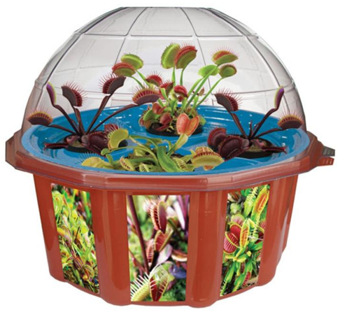 DuneCraft Hydroponic Fly Traps - Grow Your Own Fly Traps without Soil!