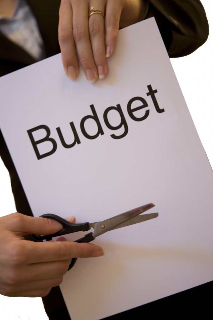 Financial advisor budget cut