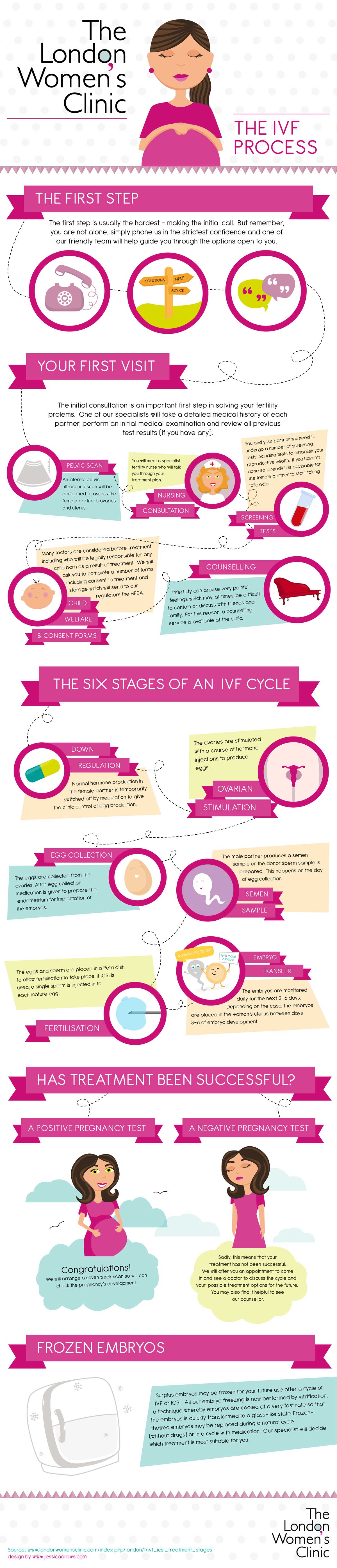 6 Stages of The IVF Process
