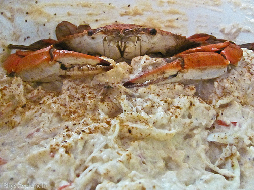 Crab Dip recipes