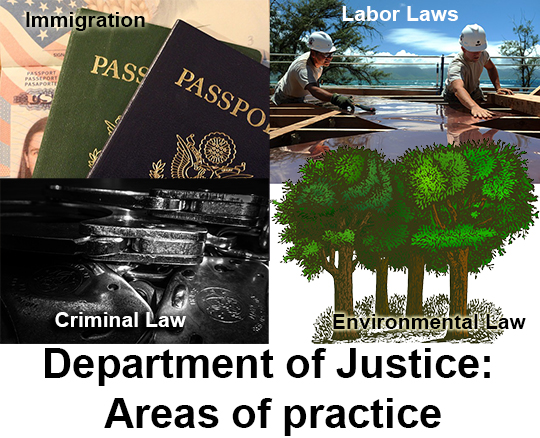 Department of Justice Law Practice