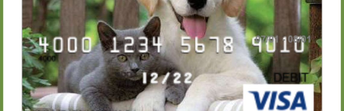 Enter Your Life After 25's Pet Parents #Furgiveness $100 Visa #Giveaway!