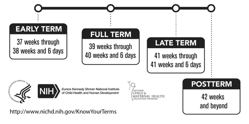 Hey Moms and Moms To Be! Do You Know Your Terms? Check Out This Guide