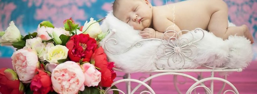 10 Props that Any Newborn Photographer Should Have
