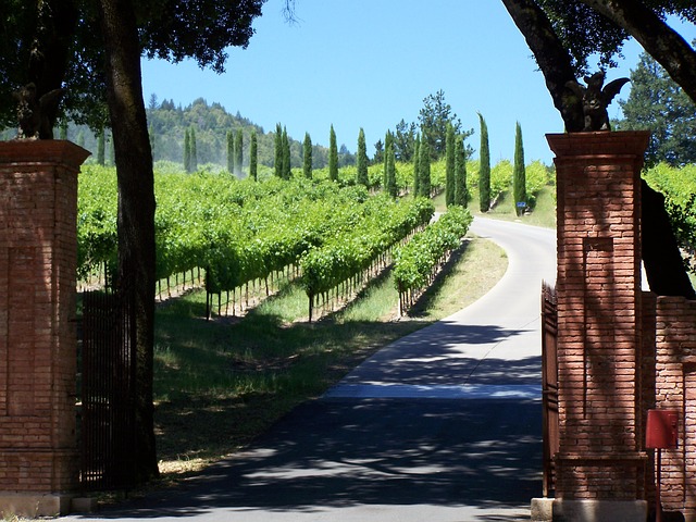 winery Napa Valley California