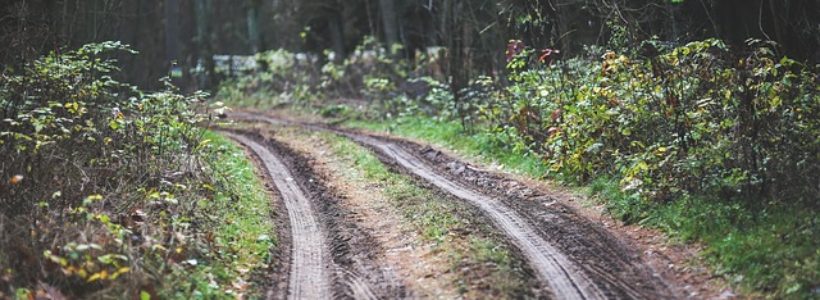 Off-Roading Without Getting Lost: Skills and Apps for Navigating