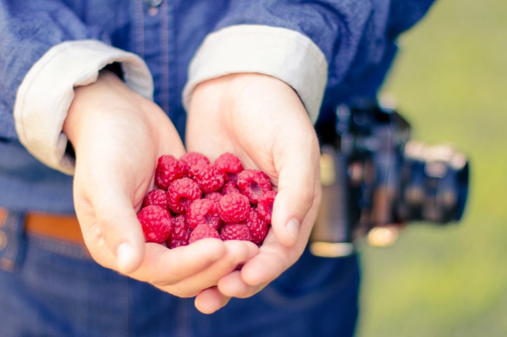 The Health Benefits of Raspberry Ketones