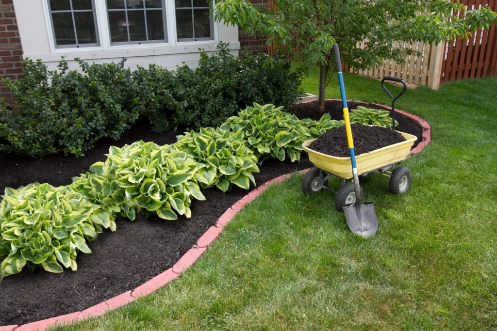 What to Check On Before Engaging a Landscape Designer