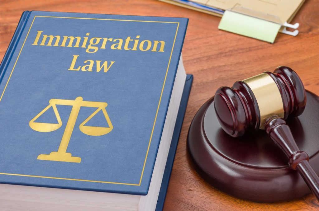 Guidelines on How to Get the Most from Your Immigration Consultant