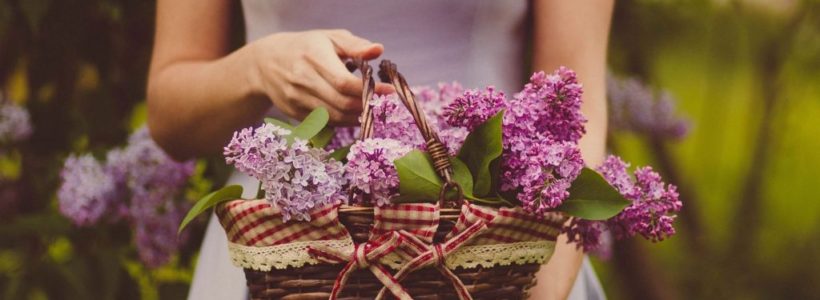 Gifting Flowers: A Great Way of Uplifting Mood