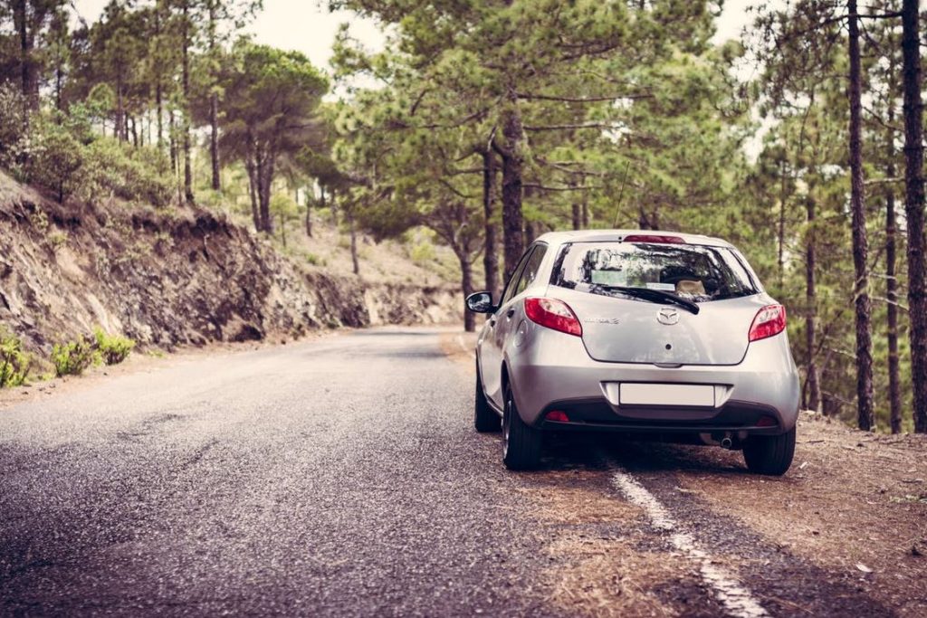 4 Reliable Cars Worth Investigating for Your Next Family Road Trip