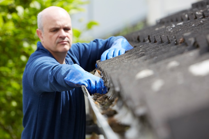 Important Roof Restoration Tips To Know 