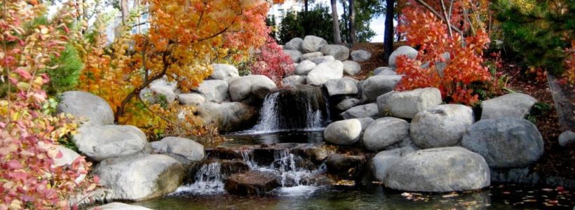 Why Every Garden Deserves A Water Feature