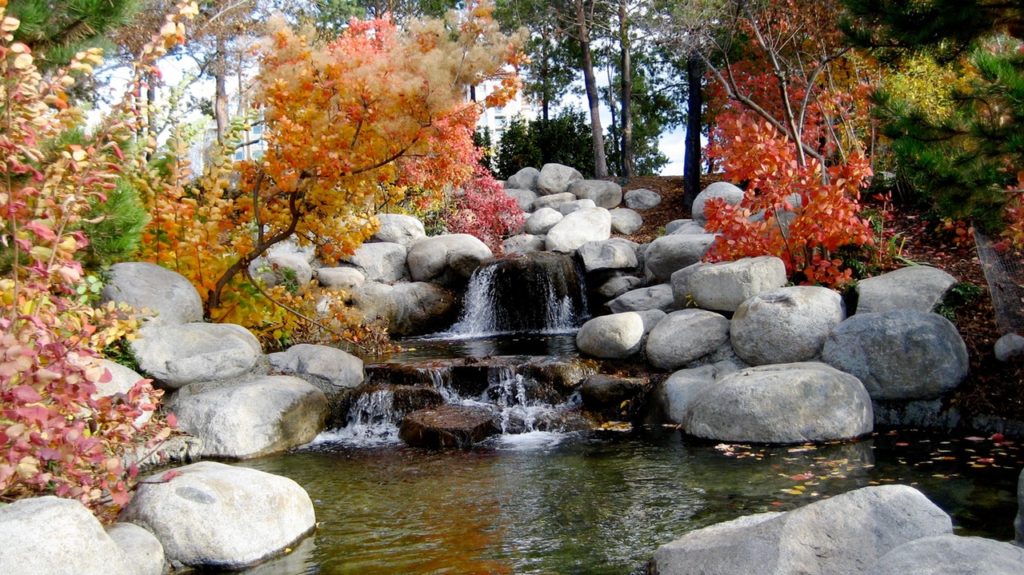 Why Every Garden Deserves A Water Feature