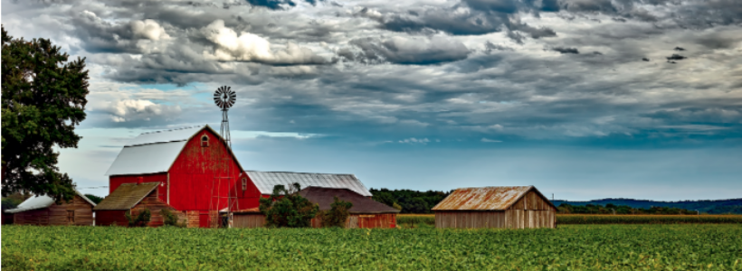 Moving Away From the City? 4 Tips to Help You Assimilate Into Country Living