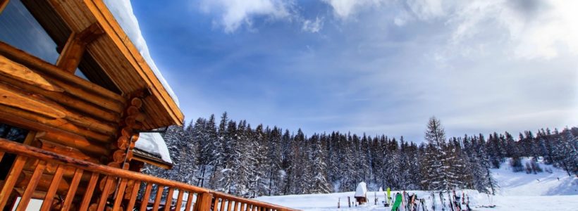 10 Key Ski Resort Pass Facts